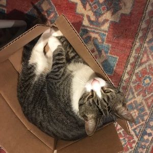 Meet your Posher, Ingrid